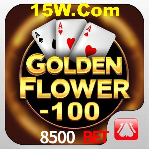 Apostas Esportivas na 8500 Bet: Um Guia Completo
